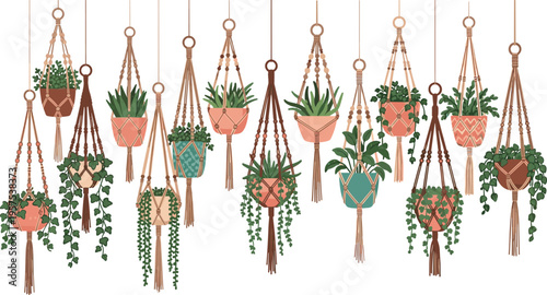 Hanging Planter's Array: An array of charming hanging planters with lush plants, offering a touch of serenity and aesthetic appeal. Capturing the essence of home decor and garden