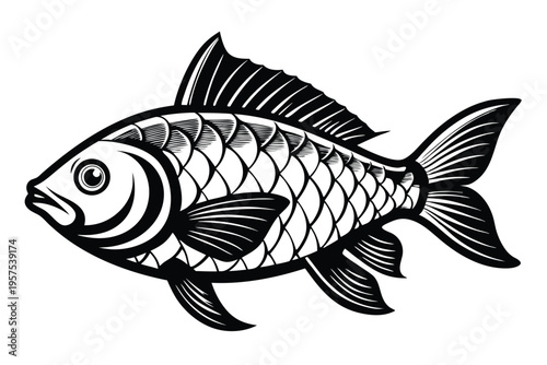 tilapia silhouette line art vector illustration