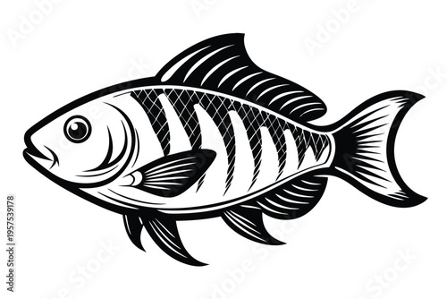tilapia silhouette line art vector illustration