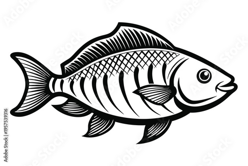 tilapia silhouette line art vector illustration