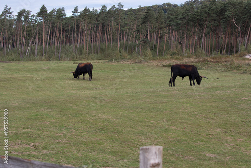 Region Teutoburger Wald
