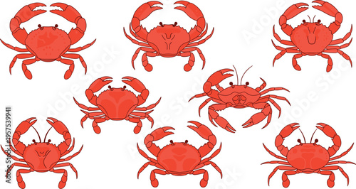 Red Crab Crustacean Vector Set with Etched Detail Textures for Seafood Restaurant Menus, Coastal Branding, Marine Biology, and Ocean Wildlife Designs