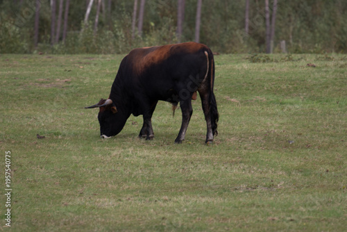 Region Teutoburger Wald