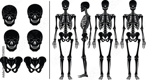 Black and white vector illustration of watering can with curved handle and spout, symbolizing gardening, plant care, and outdoor horticulture design themes.