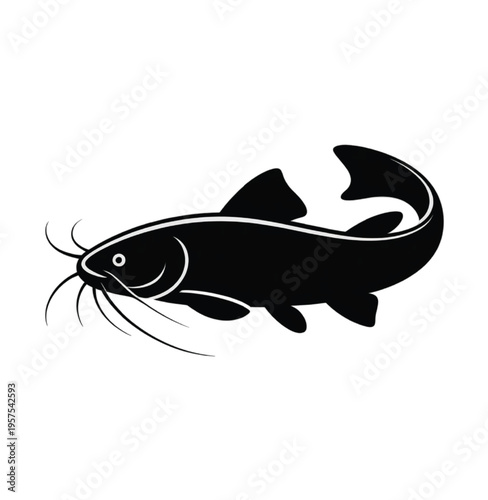 Black silhouette of a catfish swimming vector illustration EPS PNG file