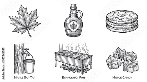 A set of vintage engraving style illustrations showing maple syrup production from sap to pancakes. Perfect for rustic branding, menus, packaging, and educational material.
