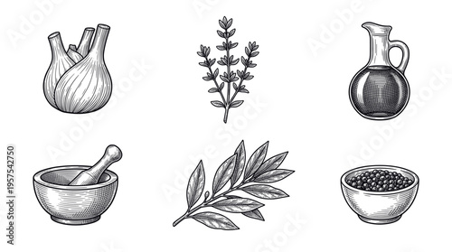 A set of vintage kitchen ingredients in a hand-drawn engraving style. Includes fennel, thyme, olive oil, bay leaf, pepper. Perfect for menus, packaging, or culinary branding.