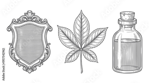 A set of vintage illustrations in an engraving style. Features an ornate shield, a chestnut leaf, and a potion bottle. Ideal for logos, labels, and classic branding.