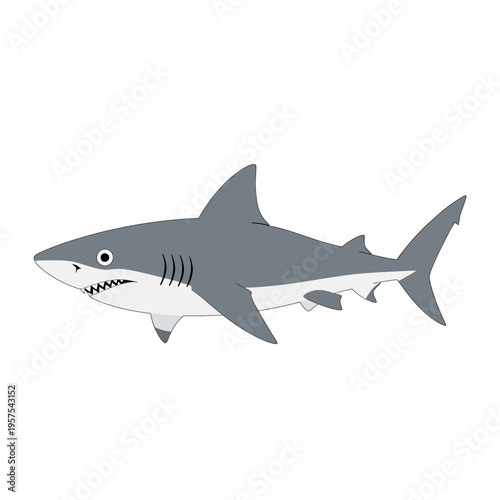 Cartoon Great White Shark Illustration, Side View, Isolated on White Background