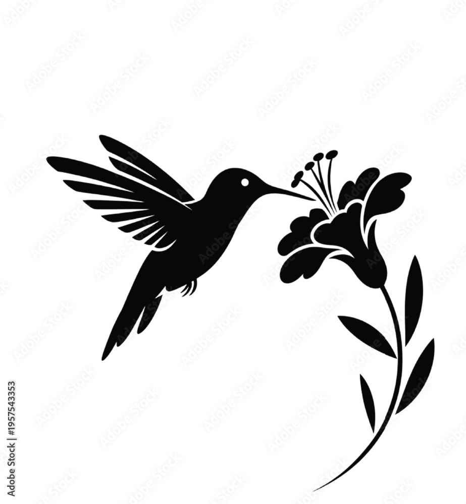 Obraz premium Black silhouette of hummingbird feeding on flower vector illustration EPS PNG file