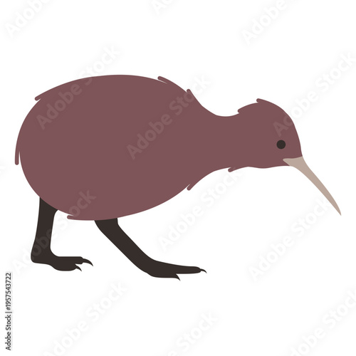 Kiwi beak leg flat