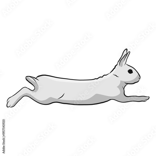 Rabbit run illustration
