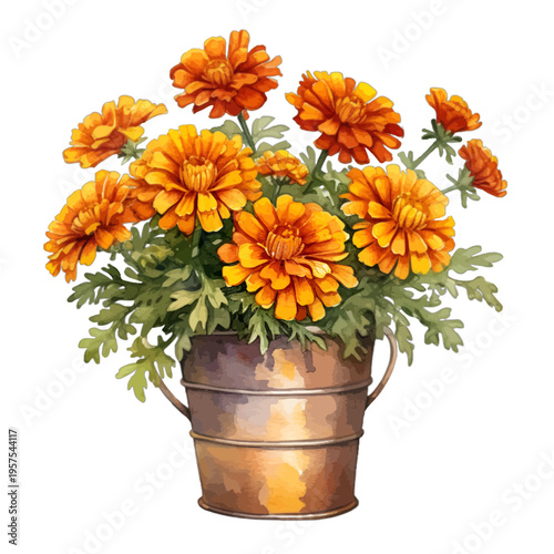 Watercolor orange marigold flower bouquet in rustic metal bucket