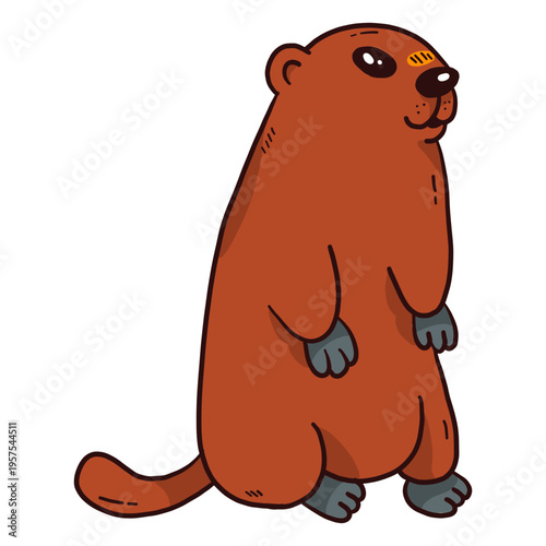 Cute ground hog marmot muzzle fur tail flat