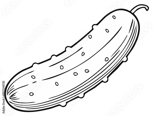 Detailed Outline of a Pickle for Coloring or Graphic Design Featuring Lines and Small Circles
