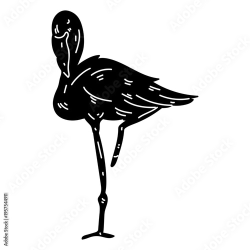 Flamingo pink beak leg silhouette