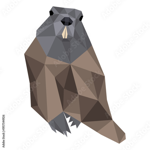 Ground hog marmot fur muzzle tail low poly