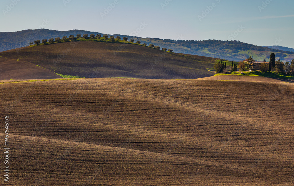 Naklejka premium Rolling cultivated hills of Val d'Orcia, Tuscany, Italy.