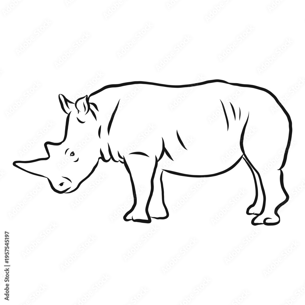 Fototapeta premium Rhinoceros horn rhino sketch