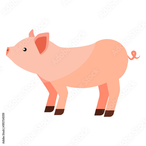 Pig snout hoof ear flat