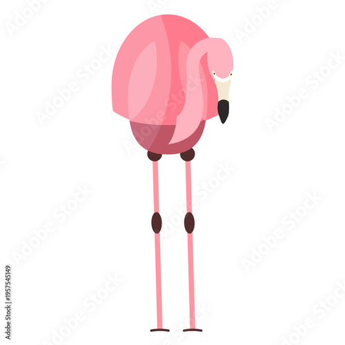 Pink flamingo leg beak flat