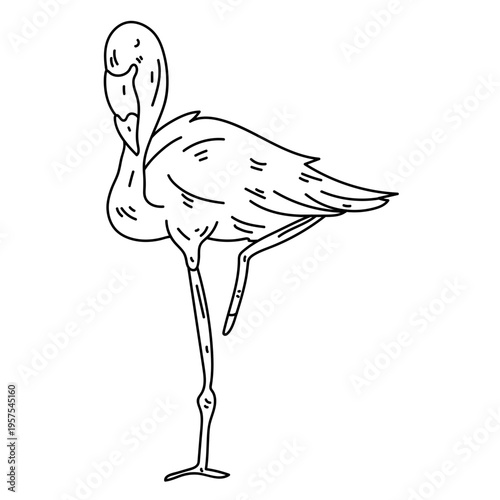 Pink flamingo leg beak line