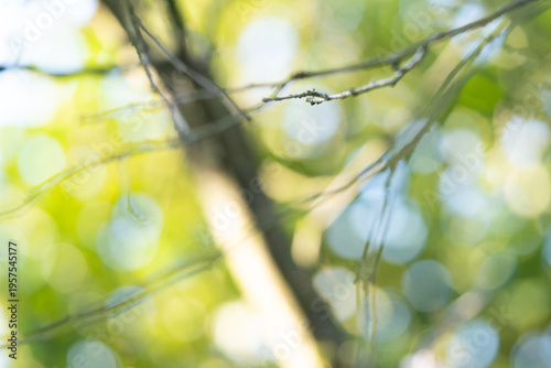 Region Teutoburger Wald