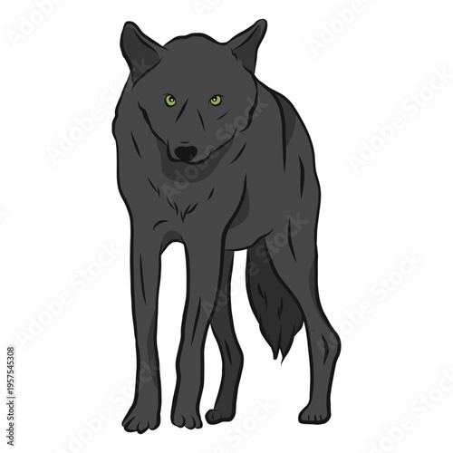 Wolf predator leg illustration