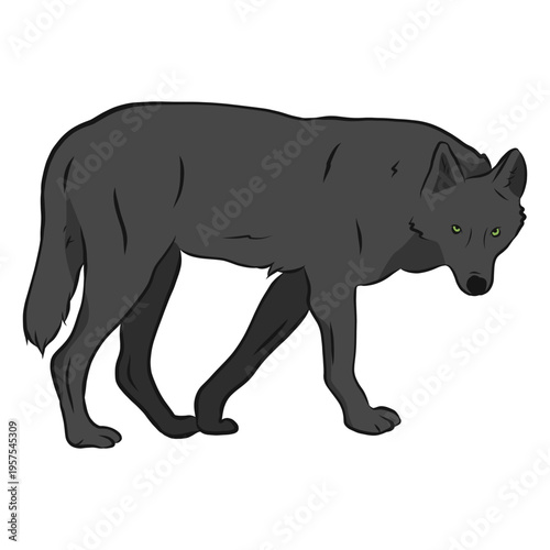 Wolf predator tail leg illustration
