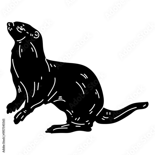 Otter muzzle tail leg silhouette detail