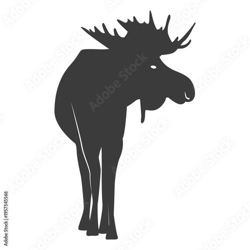 Moose elk hoof antler silhouette animal