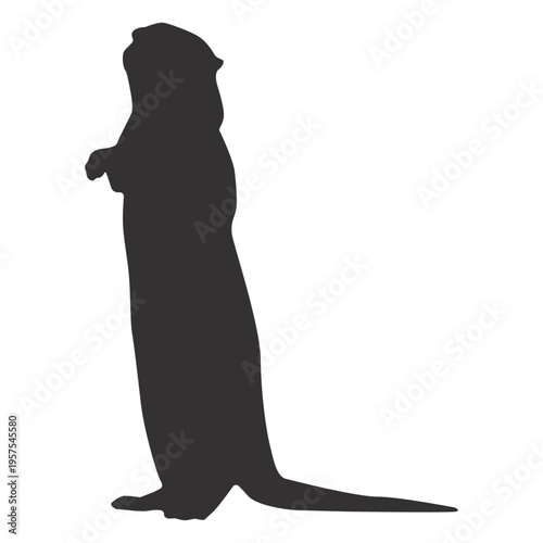 Otter tail muzzle silhouette