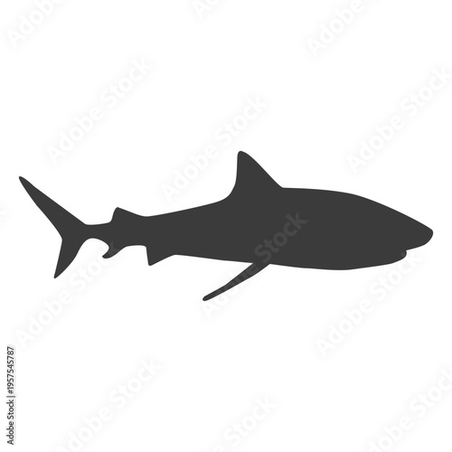 Shark fin silhouette