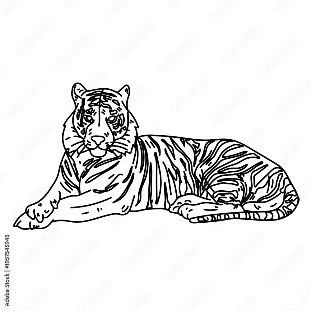Fototapeta premium Tiger stripe fur line