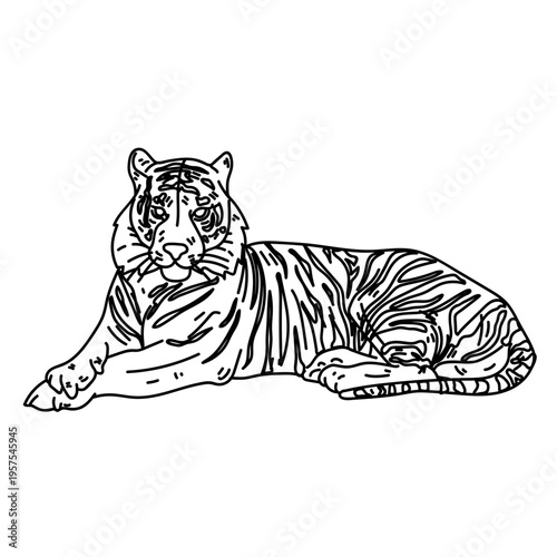 Tiger stripe fur line