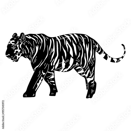 Tiger stripe tail silhouette detail