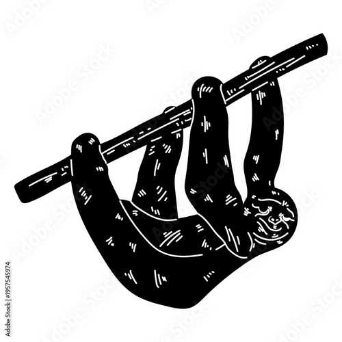 Tree sloth branch silhouette detail