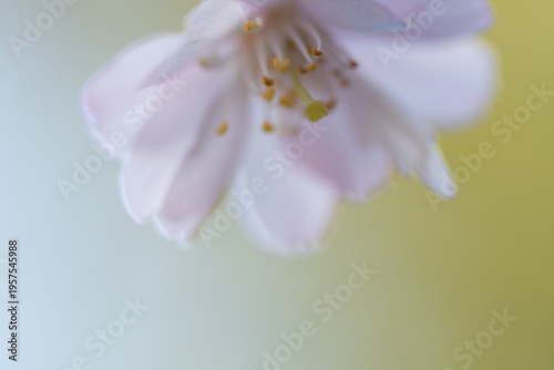 Region Teutoburger Wald