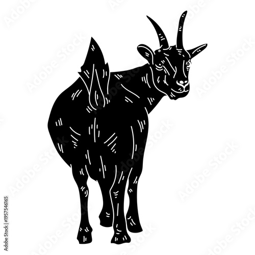 Goat rear view silhouette