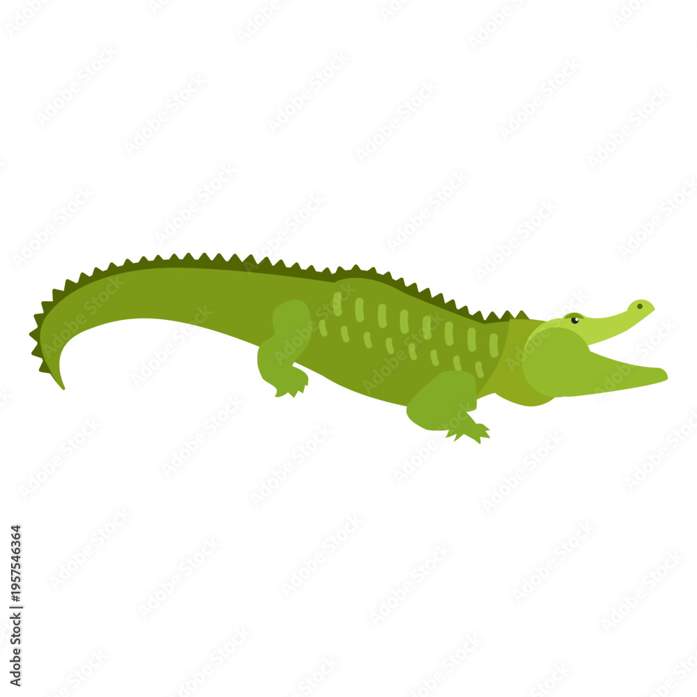 Obraz premium Crocodile alligator tail flat