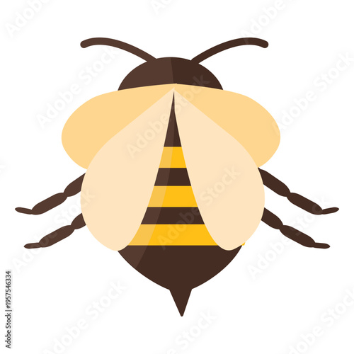 Bee sting stripe wing wasp flat