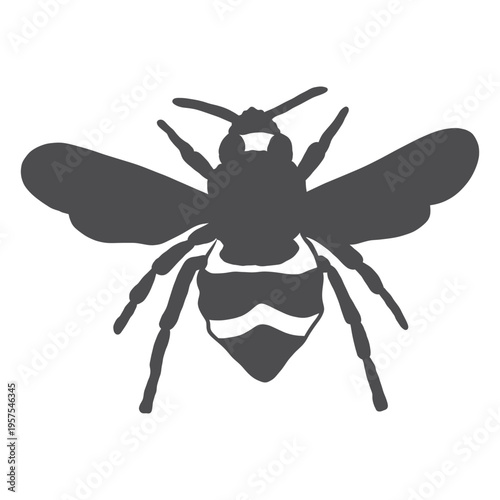 Bee wing wasp stripe silhouette