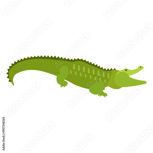 Crocodile alligator tail flat