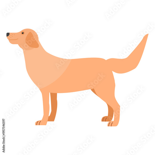 Dog puppy tail ear flat