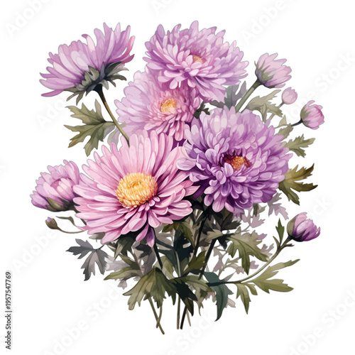 Watercolor purple aster flower bouquet isolated on white background