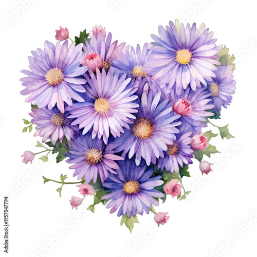 Watercolor heart shaped purple aster flower bouquet isolated on white