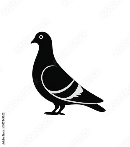 Black and white silhouette of a pigeon standing sideways vector illustration