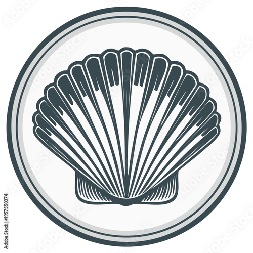 Graphic illustration of a detailed scallop shell with radiating lines inside a circular border