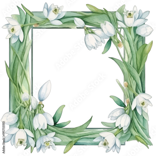 Floral Frame of Delicate White Snowdrops Flowers and Green Leaves on White Background
