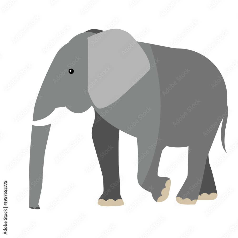 Obraz premium Elephant ear ivory trunk tail flat